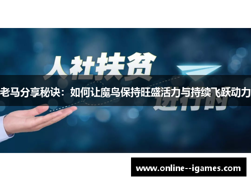 老马分享秘诀：如何让魔鸟保持旺盛活力与持续飞跃动力