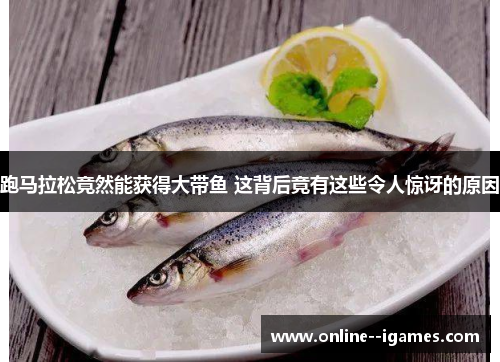 跑马拉松竟然能获得大带鱼 这背后竟有这些令人惊讶的原因